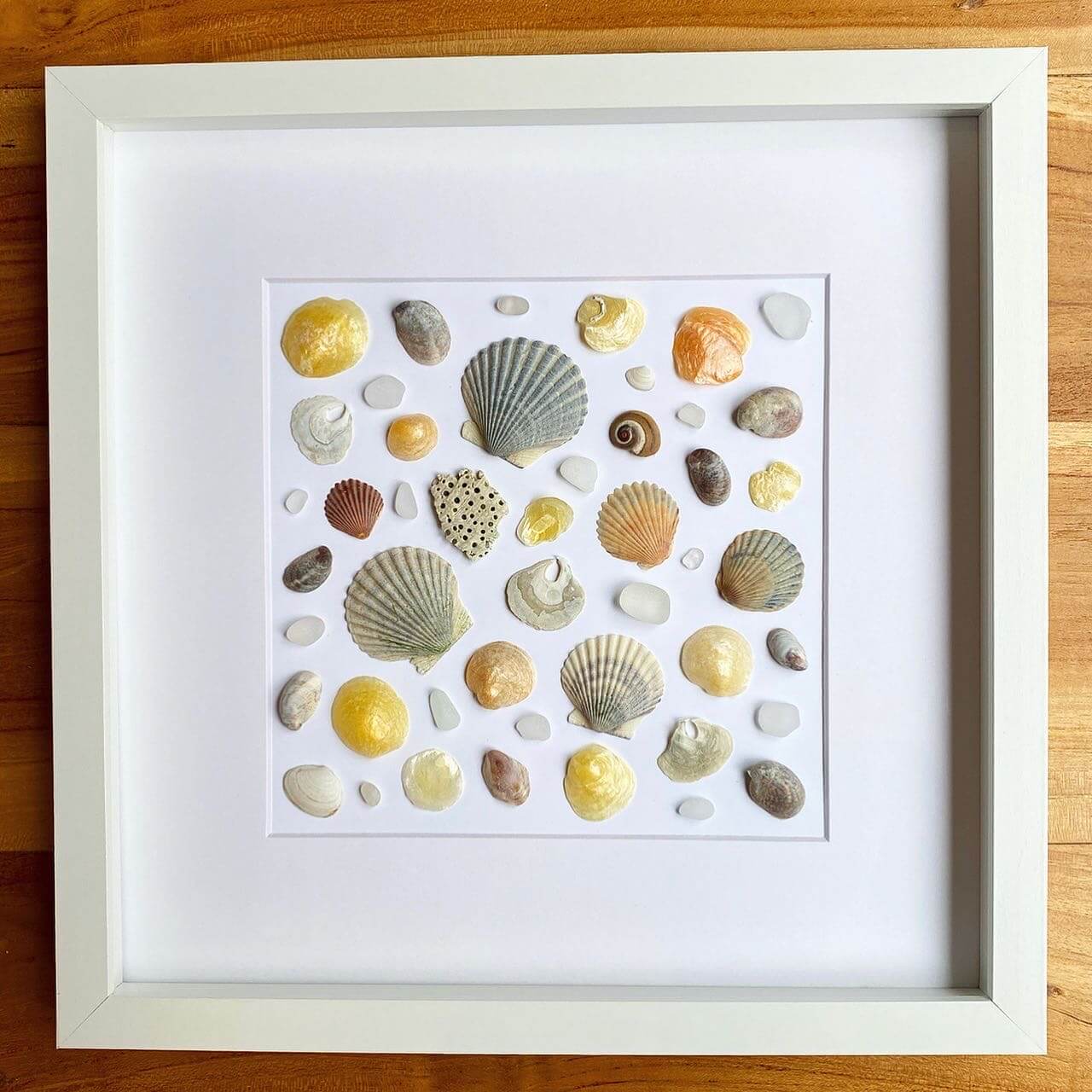 new england seashell framed artwork